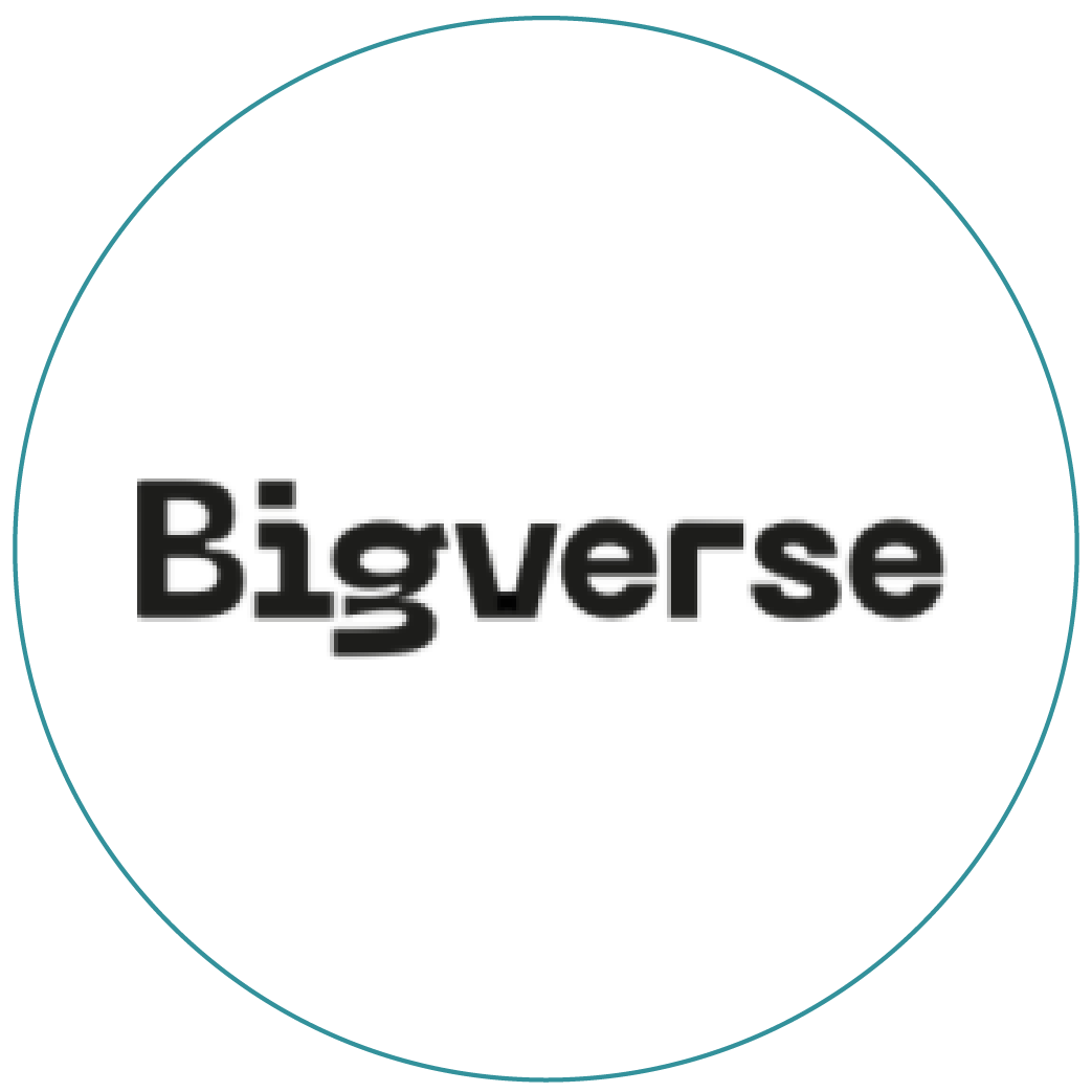 Bigverse